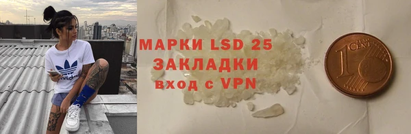 прущие грибы Армянск
